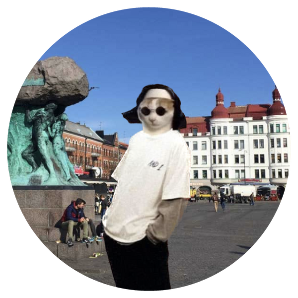 Memes of Möllan